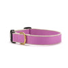 Color Market Dog Collar - Wide