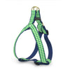 Lime Gingham Dog Harness