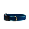 Color Market Extra Wide Dog Collar Navy Aqua 