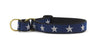 North Star Martingale