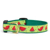 One in a Melon Dog Collar