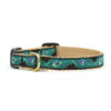 Peacock Small Breed Dog Collar