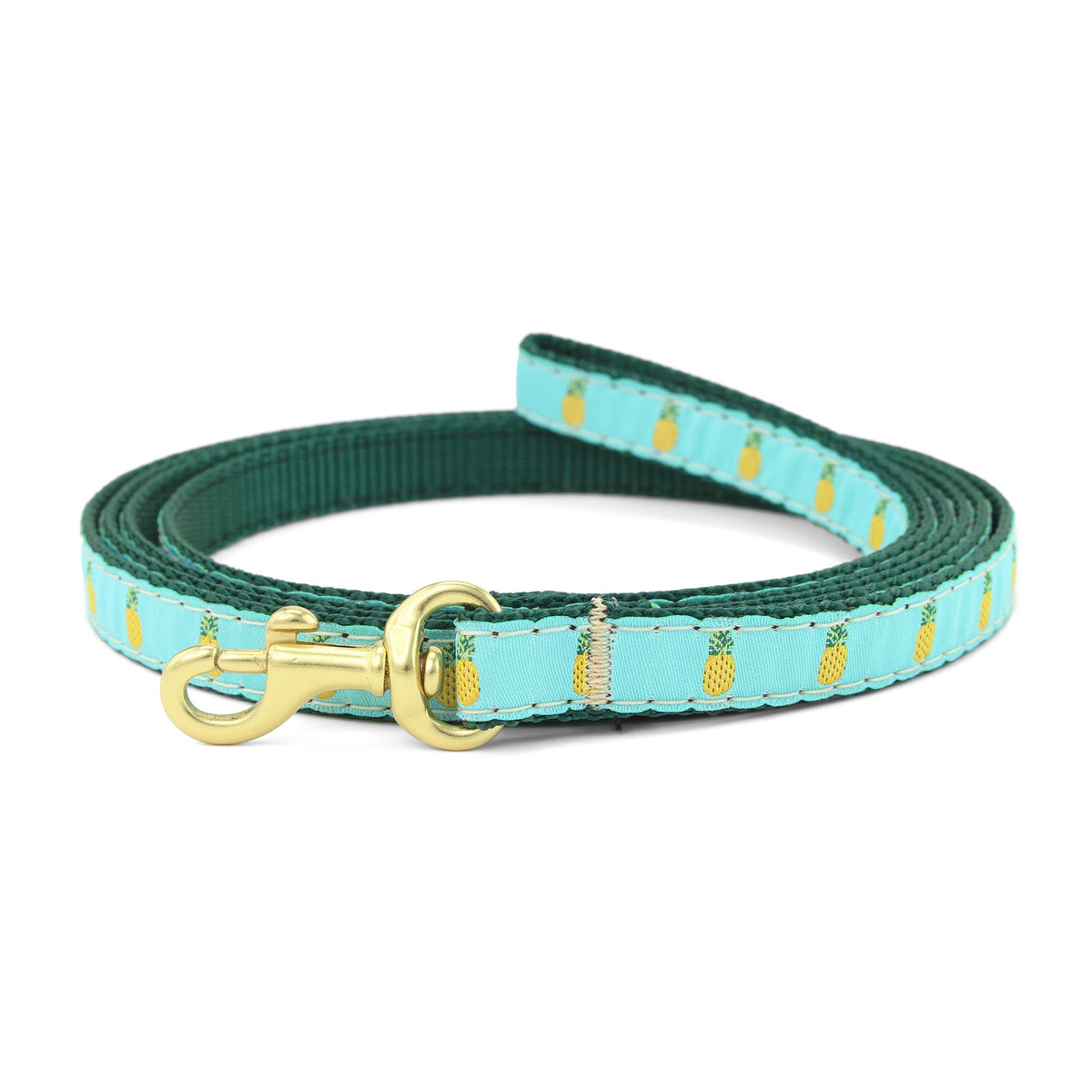 Leads for hot sale small dogs