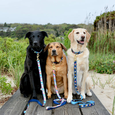 Pink Madras Dog Collar