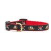 Pirate Small Breed Dog Collar