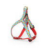 Rainbow Hearts Small Breed Dog Harness