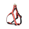 Red Gingham Small Breed Dog Harness