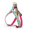 Reef Dog Harness