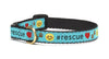 Rescue Small Breed Dog Collar