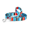 Serape Stripe Printed Dog Lead