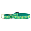 Shamrock Martingale Dog Collar St. Patrick's Day