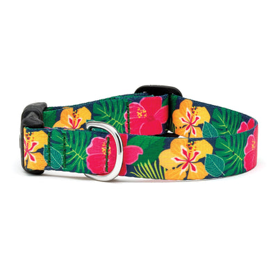 Up Country Inc Sport Hibiscus Printed Dog Collar 