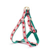 Strawberry Fields Dog Harness