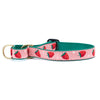 Strawberry Fields Martingale Dog Collar