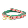 Strawberry Fields Small Breed Dog Lead