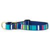 Sutton Stripe Martingale Dog Collar