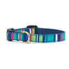 Sutton Stripe Small Breed Dog Collar