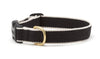 Color Market Dog Collar - Wide