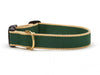 Color Market Dog Collar - Wide