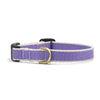 Color Market Dog Collar - Small Breed