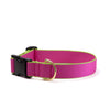 Color Market Dog Collar - Extra Wide 1.5"